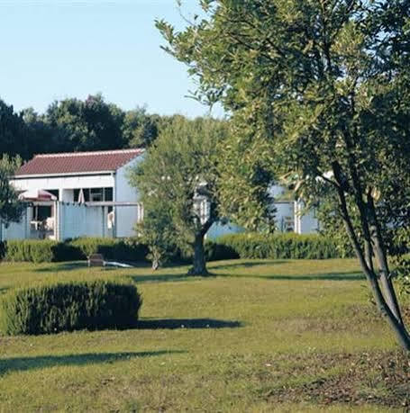 Koversada Rooms Vrsar Eksteriør bilde